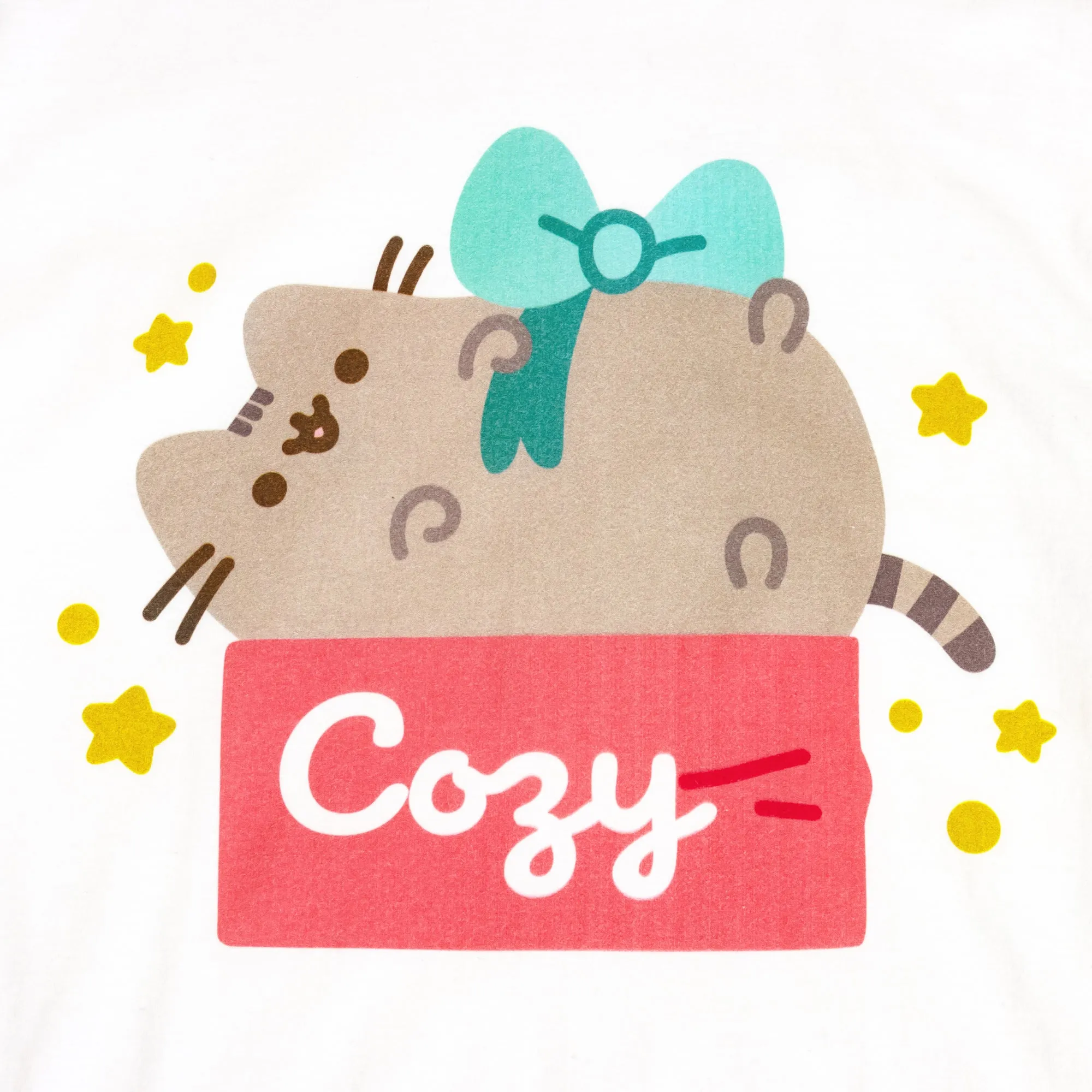 Pusheen - Cozy Gift Tee